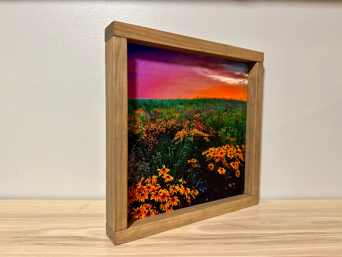 Iowa Wildflowers at Sunset | Handcrafted Solid Wood Photography Art