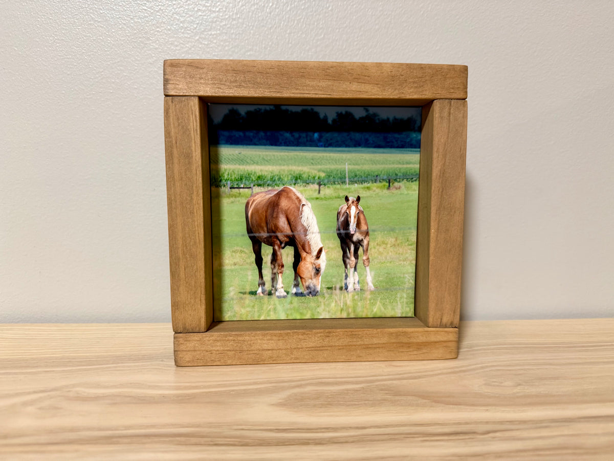 Horses in the Iowa Countryside | Handcrafted Solid Wood Photography Art