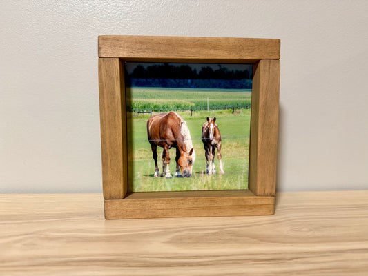 Horses in the Iowa Countryside | Handcrafted Solid Wood Photography Art