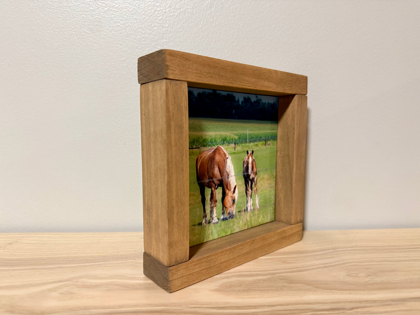 Horses in the Iowa Countryside | Handcrafted Solid Wood Photography Art
